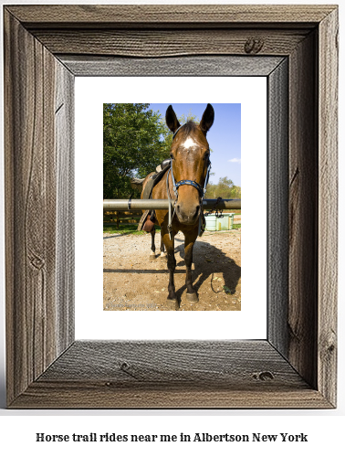 horse trail rides near me in Albertson, New York